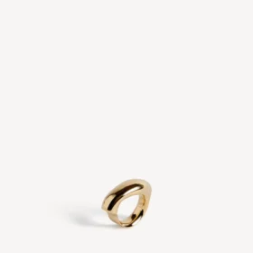 Eisa-Ring in glänzendem Gold Eisa-Ring in glänzendem Gold