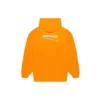 FW21 Logo-Hoodie Orange 578135TKVE97073