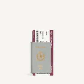 Lange Herren-Brieftasche im Passformat mit 1 Ticket in Balenciaga-Grau Lange Herren-Brieftasche im Passformat mit 1 Ticket in Balenciaga-Grau